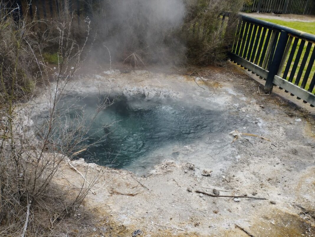 Geothermal hot pool at Kuirau Park
